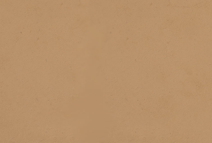 Project presentation background